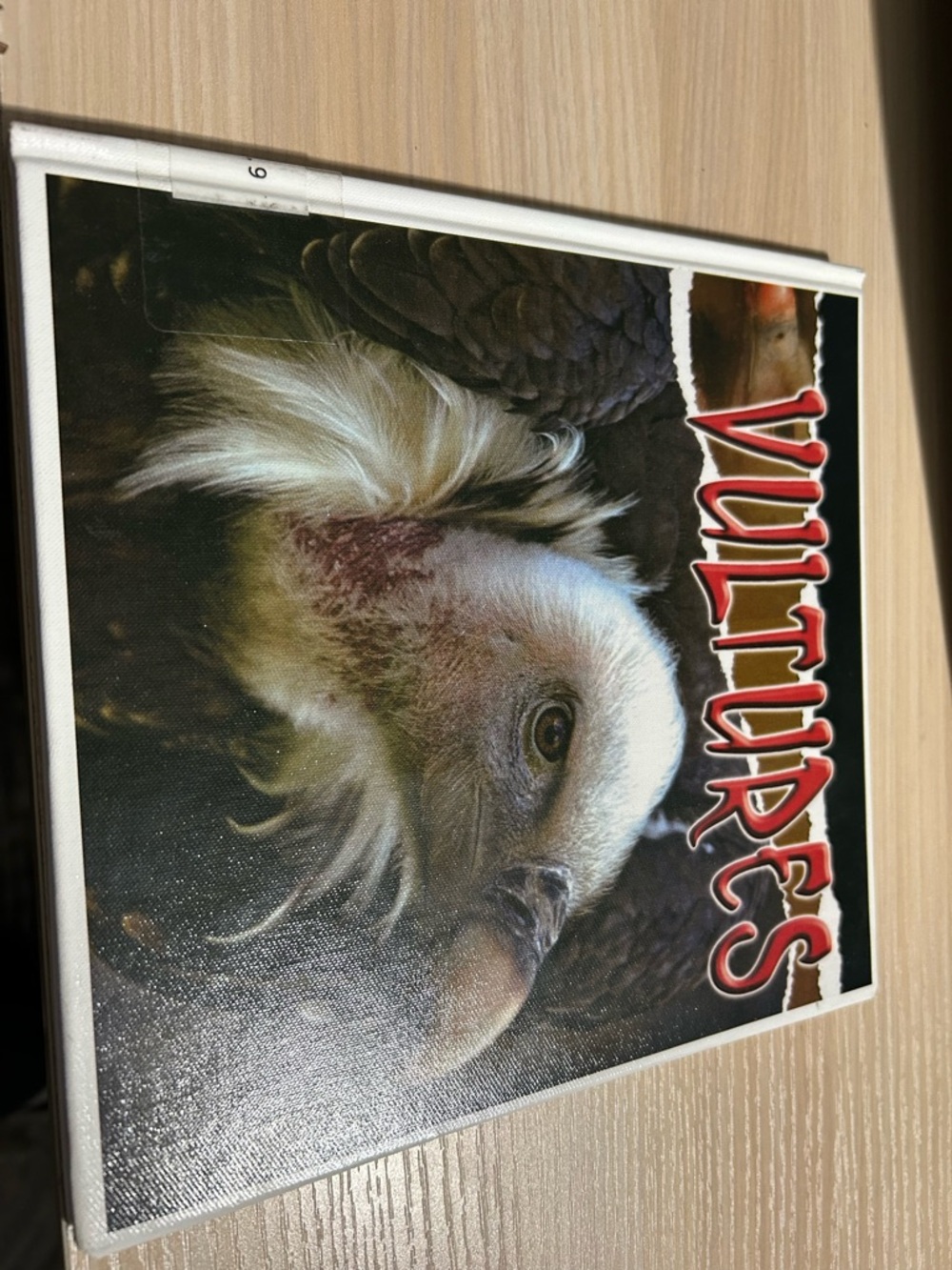 Vultures Educational Book